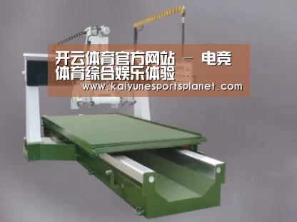 产品名称九