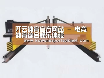 产品名称十八