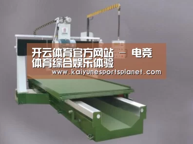 产品名称十