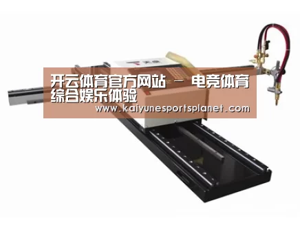 案例展示一