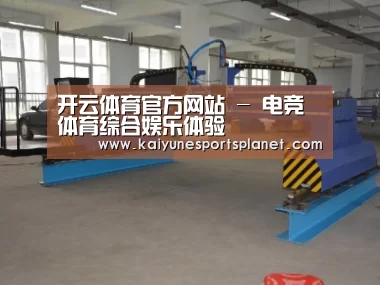 产品名称十八