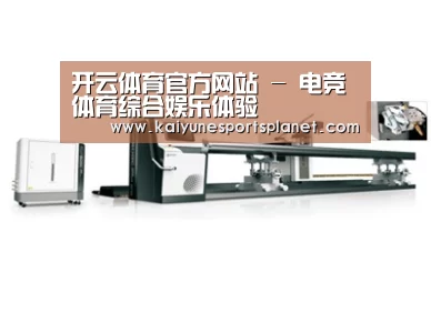 视频展示一
