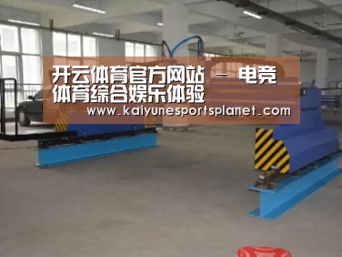 产品名称二十