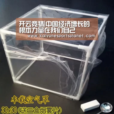 开云入口