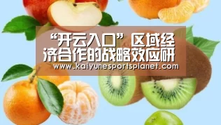 “开云入口”区域经济合作的战略效应研究(图1) 开云入口