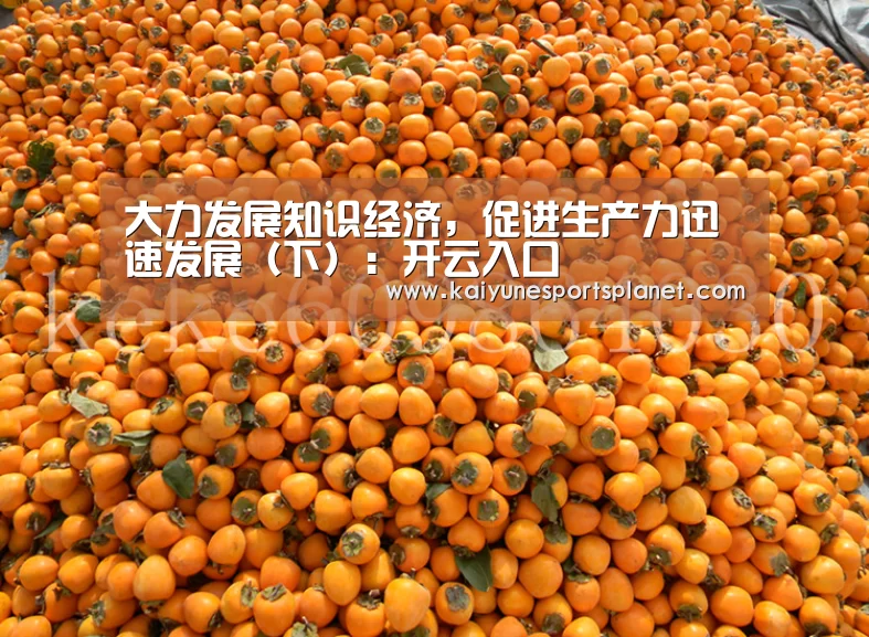 大力发展知识经济,促进生产力迅速发展(下):开云入口(图3) 开云篮球