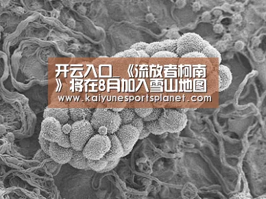 开云入口