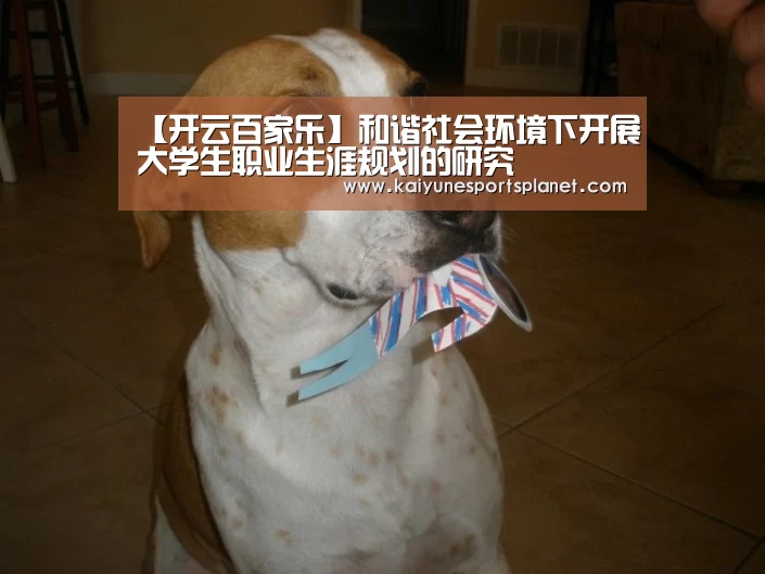 【开云百家乐】和谐社会环境下开展大学生职