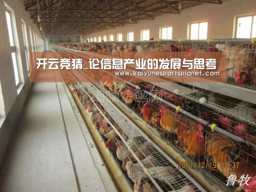 开云竞猜_论信息产业的发展与思考