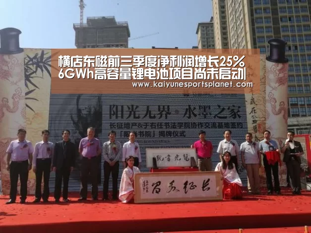 横店东磁前三季度净利润增长25% 6GWh高容量锂电池项目尚未启动|开云百家乐(图2) 开云篮球