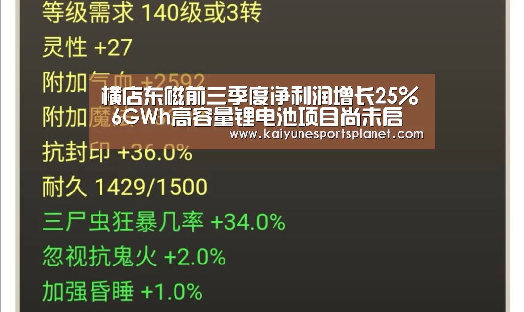 横店东磁前三季度净利润增长25% 6GWh高容量锂电池项目尚未启动|开云百家乐(图1) 开云入口