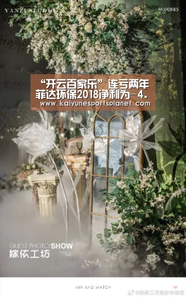 “开云百家乐”连亏两年 菲达环保2018净利为-4.2亿(图1) 开云篮球